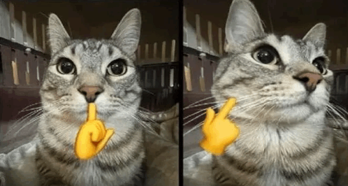 Mewing Shush